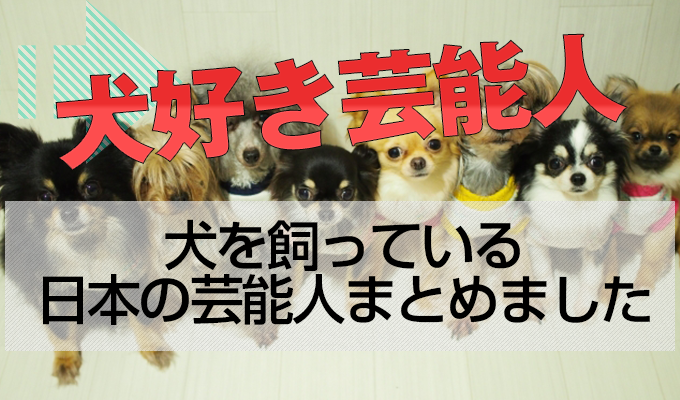 日本一詳しく 犬を飼っている芸能人まとめ 犬ラブ