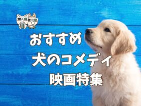 犬の楽しいコメディ映画