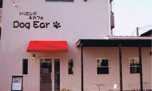 愛媛県のドッグカフェトリミング&カフェ Dog Ear（ドッグイヤー）