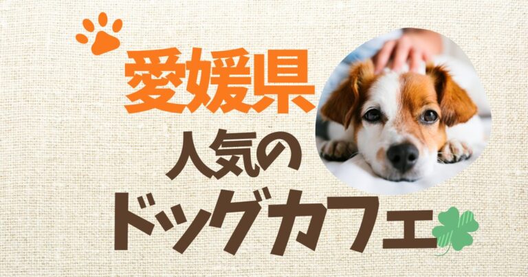 愛媛県のドッグカフェ特集♪愛犬と行けるお店【10選】