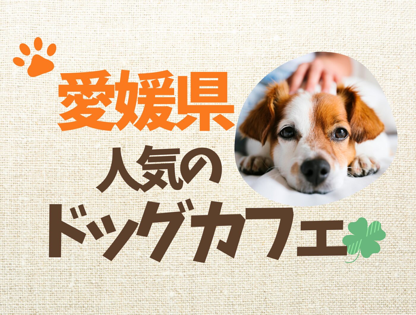 愛媛県のドッグカフェ特集♪愛犬と行けるお店【10選】