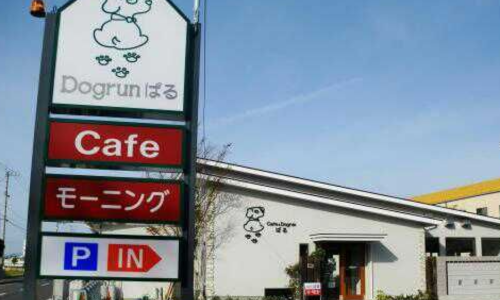 愛媛県のドッグカフェぱるcafe&Dogrun