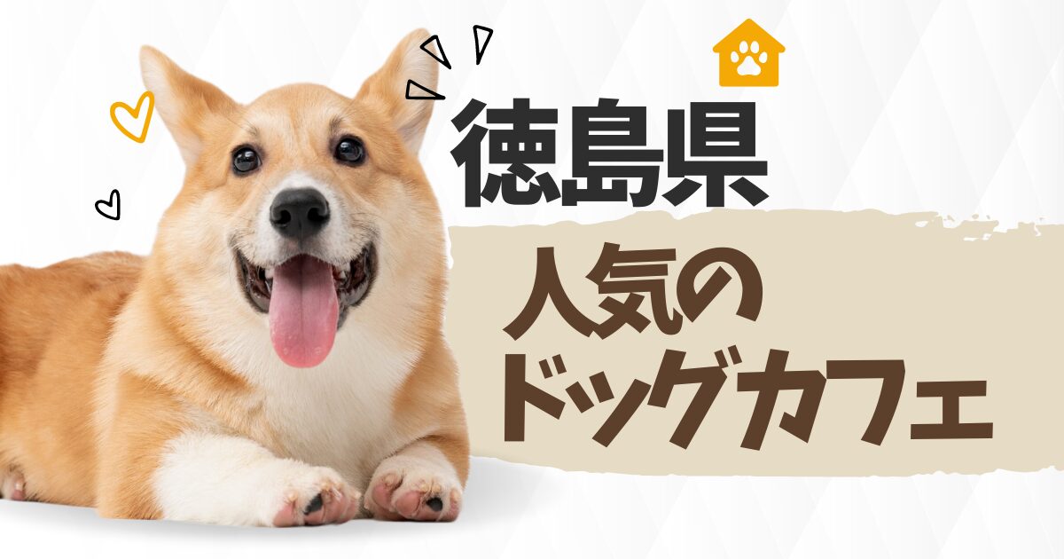 徳島県のドッグカフェ特集♪愛犬と行けるお店【7選】