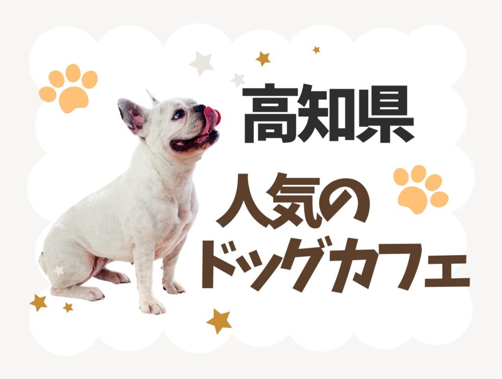 高知県のドッグカフェ特集♪愛犬と行けるお店【7選】