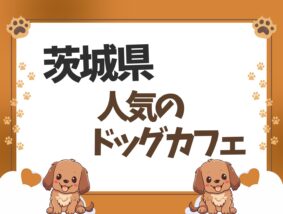 茨城県のドッグカフェ特集♪愛犬と行けるお店【20選】