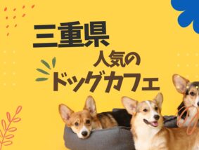 三重県のドッグカフェ特集♪愛犬と行けるお店【9選】